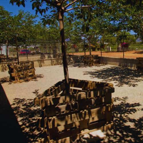 Zona sombreada en la residencia canina De Pichera en Valencia, con árboles y cercados de madera diseñados para el confort de las mascotas.