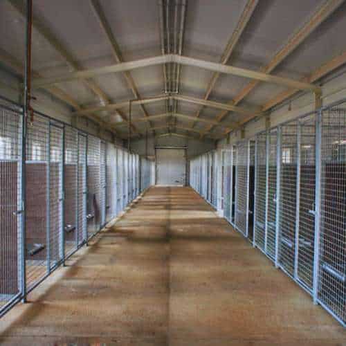 Vista interior de las instalaciones de la residencia canina De Pichera en Valencia, mostrando amplios recintos individuales y pasillos bien iluminados.