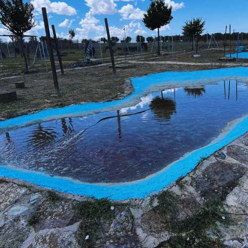 Piscina poco profunda con borde azul en la residencia canina Territorio Canino en Toledo, rodeada de árboles y cielo despejado.