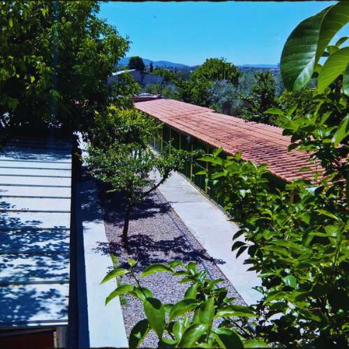 Vista aérea de las instalaciones exteriores de la Residencia Canina DogHouse en Granada, con un camino sombreado rodeado de árboles y un ambiente natural.