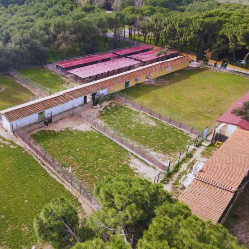 Vista aérea de las instalaciones de la Residencia Canina Malilupus, rodeadas de naturaleza y amplios espacios al aire libre.