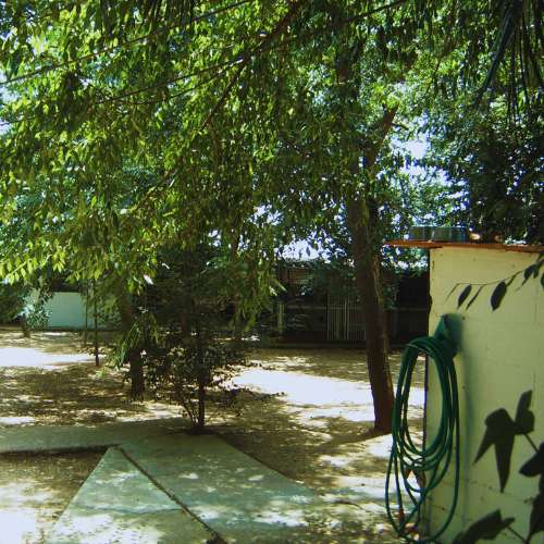 Zona arbolada en la Residencia Canina Séneca en Córdoba, proporcionando sombra y un ambiente fresco para las mascotas.