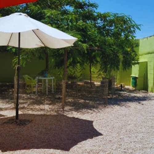 Zona de descanso con sombrillas y áreas sombreadas en la residencia canina Chichet, Valencia.