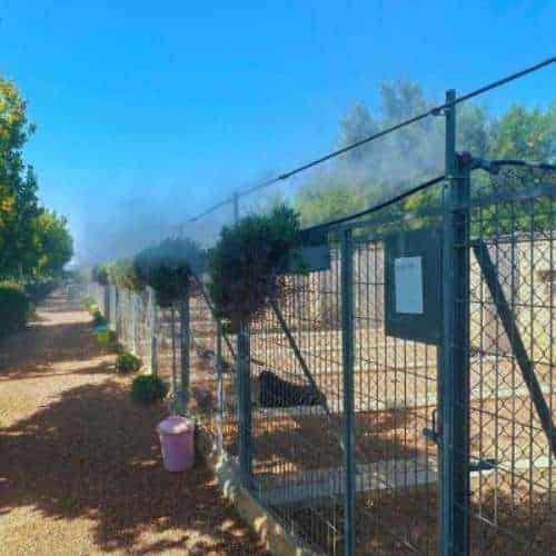 Zona de jaulas con sistema de nebulización para refrescar a las mascotas en una residencia canina, rodeada de árboles y senderos.