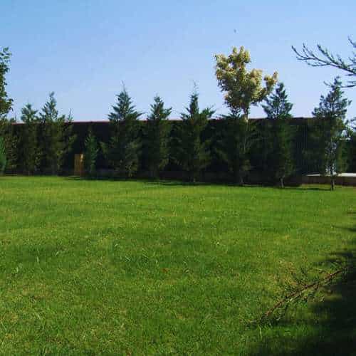 Amplia área verde de césped rodeada de árboles en la Residencia Canina CanSport en Córdoba, ideal para actividades y paseos de las mascotas.