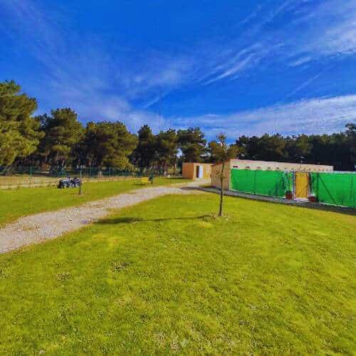 Amplias zonas verdes en la Residencia Canina Las Cortes en Burgos, rodeadas de árboles y con edificios modernos al fondo, bajo un cielo despejado.