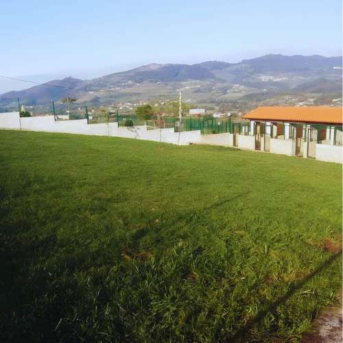 Vista panorámica de los amplios espacios al aire libre en la guardería canina Ovican en Oviedo, ideal para el esparcimiento de las mascotas.