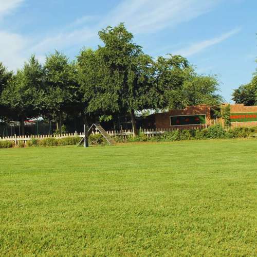 Campo verde y bien cuidado en la guardería canina Herocan en Toledo.
