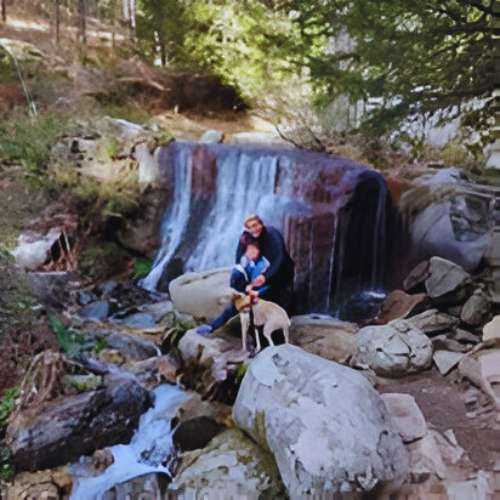 Persona con perros disfrutando de una cascada durante un paseo organizado por Mucho Mejor Que En Casa en Toledo.