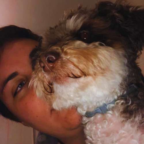 Perro pequeño abrazado por su cuidador en la Guardería Canina Txakuretxea, Bilbao, mostrando un trato cercano y personalizado.