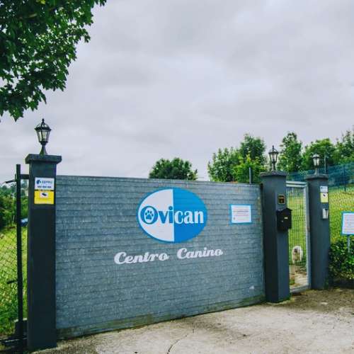 Entrada principal de la Residencia Canina Ovican, Oviedo, con logo y cercado seguro.