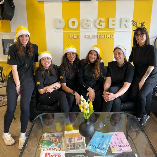 Equipo profesional de la Guardería Canina Dog Designers posando en un espacio moderno con decoración amarilla.