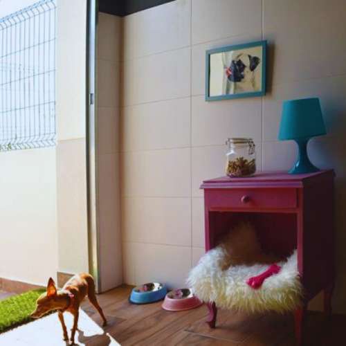 Espacio decorado con muebles coloridos y cómodos en la guardería canina La Villa, Valencia.