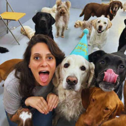 Grupo de perros celebrando una fiesta en la Guardería Canina Wag Wag, Madrid, acompañados por una cuidadora.