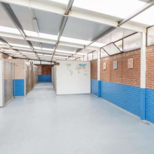 Vista del interior de la guardería canina Cecapa en Santander, mostrando espacios limpios y organizados para el alojamiento de las mascotas.