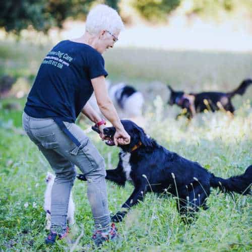 Entrenadora interactuando con un perro negro en un área verde en la guardería canina Dog Care en Barcelona.