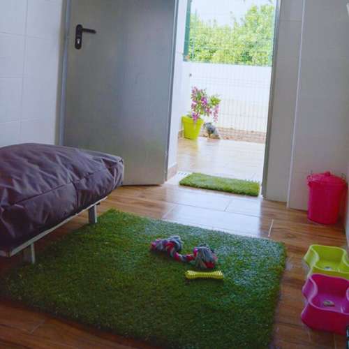 Habitación individual equipada con cama, alfombra de césped y juguetes en la guardería canina La Villa, Valencia.