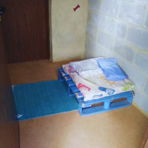 Habitación individual en la guardería canina Ovican en Oviedo, equipada con una cama cómoda y decoración personalizada para las mascotas.