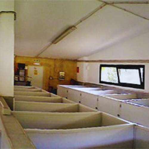 Habitaciones individuales para mascotas en la Guardería Canina Los Ferreros, Oviedo, diseñadas para comodidad y tranquilidad.