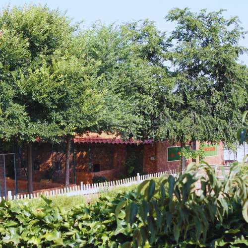 Instalaciones de la guardería canina Herocan rodeadas de árboles y naturaleza en Toledo.