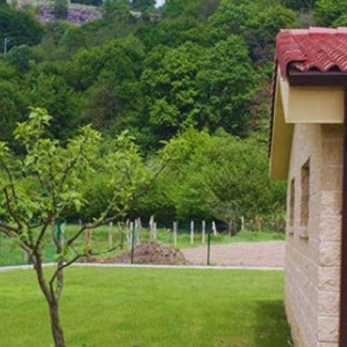 Vista del jardín de la Guardería Canina Los Ferreros en Oviedo, rodeado de naturaleza y tranquilidad.