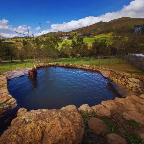 Lago natural en la Residencia Canina La Torre en Oviedo, rodeado de un paisaje montañoso y áreas verdes.