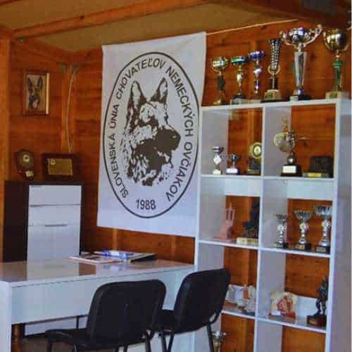 Oficina de una residencia canina con trofeos y premios en exhibición, destacando logros en el entrenamiento y cuidado de perros.