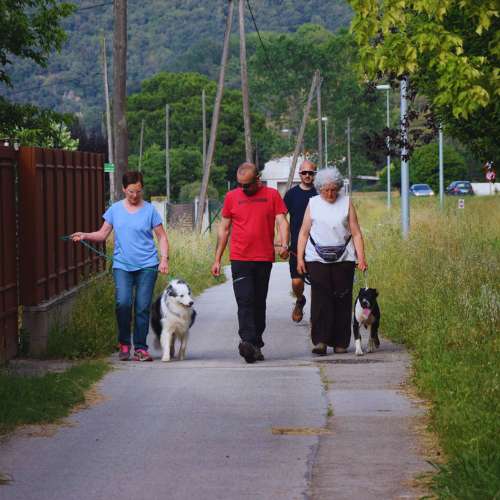 Un grupo de cuidadores paseando con perros en un sendero cerca de la Guardería Canina CampDorà, Girona.