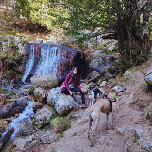 Paseo con perros en un entorno natural junto a una cascada, organizado por la guardería canina Mucho Mejor Que En Casa en Toledo.