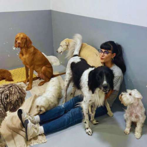 Cuidadora rodeada de perros de diferentes razas en la Guardería Canina Wag Wag, Madrid, en un ambiente tranquilo y seguro.