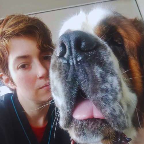 Perro San Bernardo junto a cuidadora en la guardería canina Bonnie and Clyde en Santander.