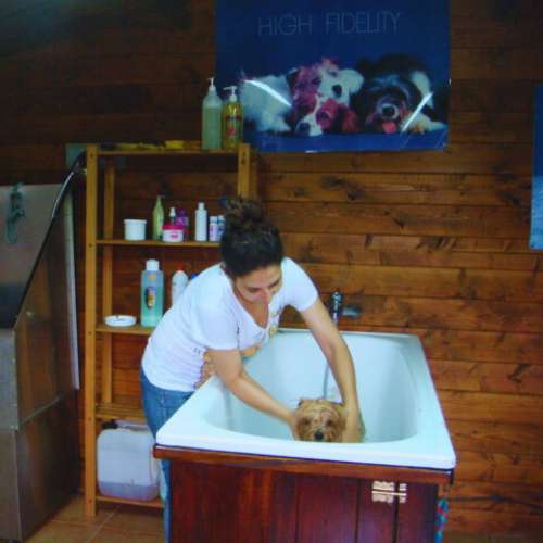 Trabajadora bañando a un perro en la Guardería Canina Aiartza, Bilbao, con productos de cuidado especializados.