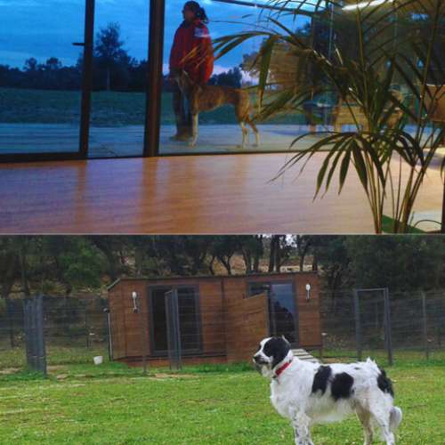 Perros disfrutando de zonas interiores y exteriores en la Guardería Canina ABC Dogs, Girona.