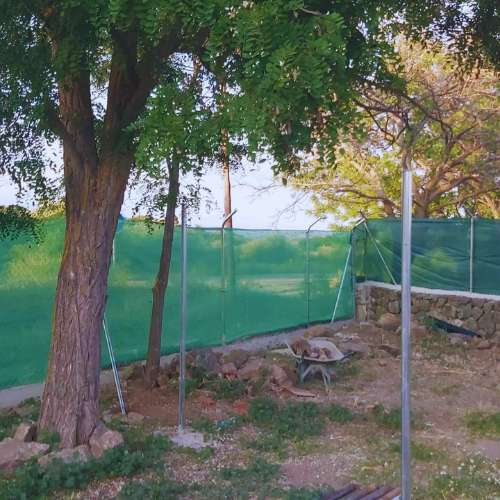 Área verde con sombra en la Guardería Canina Dog de Mayo, Madrid, ideal para el descanso y la recreación de las mascotas.