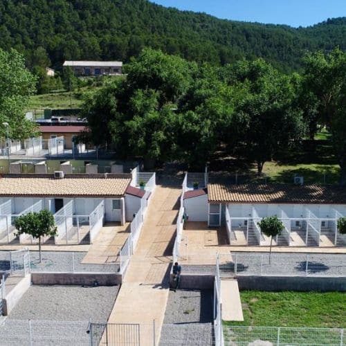 imagenes de la REsidencia Canina Hotel cani el Vila en Barcelona (Manresa)