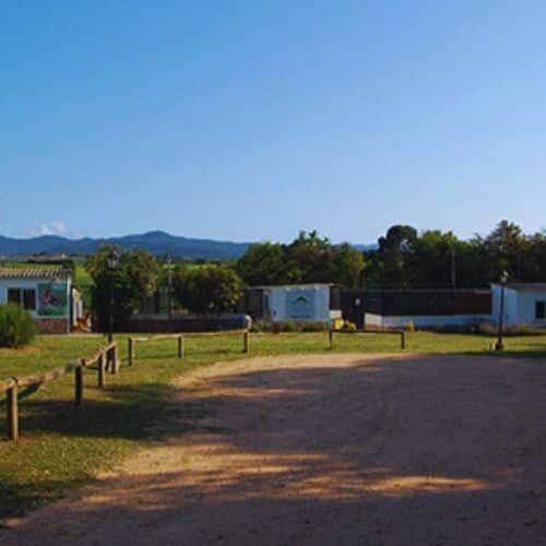 residencia Canina Can Planet 3