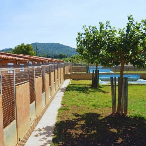residencia Canina Cani de Pals Girona