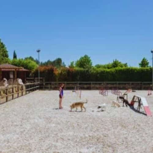 residencia canina AlisSGR1