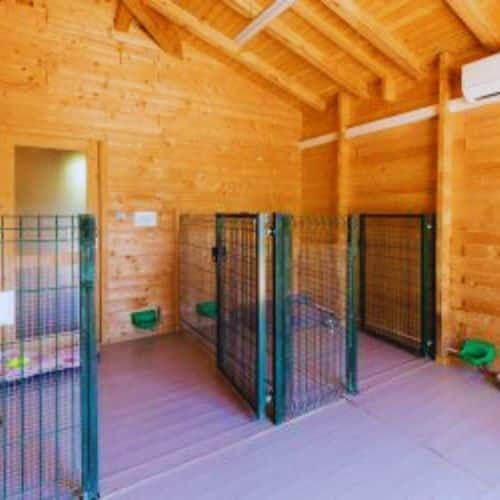 residencia canina AlisSgr