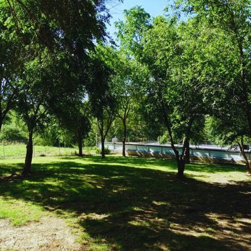 residencia canina Hotel Cani el Vila Barcelona 4