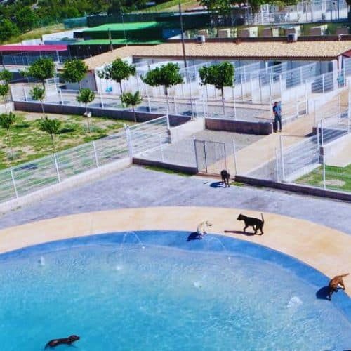 residencia canina Hotel Cani el Vila Barcelona