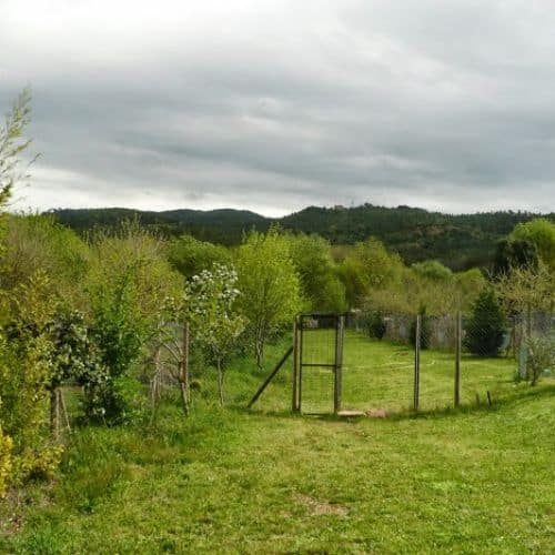 residencia canina girona El Rocater 3